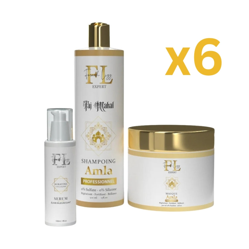 Lot Pour Pro Kit Sans Sulfate French Lizz Amla Lissage Expert