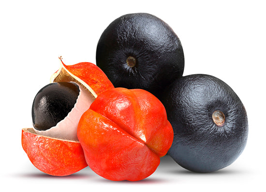 Lissage Tanin Kera Glow Guaraná – Gloss & Brillance Extrême